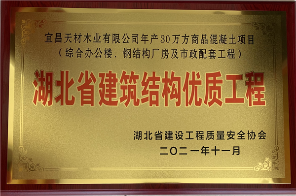 2021年湖北省建筑结构优质工程